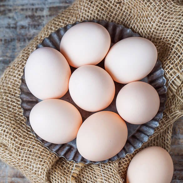 Eggs 1 Dozen Coppys Butcher Block Port Macquarie 